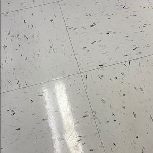 Meet your Posher, Precious